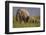 Indian Asian Elephant, Mother and Calves, Corbett National Park, India-Jagdeep Rajput-Framed Premium Photographic Print