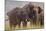 Indian Asian Elephant, Offering Grass, Corbett National Park, India-Jagdeep Rajput-Mounted Photographic Print