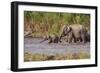 Indian Asian Elephants, Crossing the River Ramganga, Corbett NP, India-Jagdeep Rajput-Framed Photographic Print