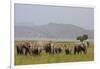 Indian Asian Elephants in the Savannah, Corbett National Park, India-Jagdeep Rajput-Framed Photographic Print