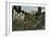 'Indian Basket Grass growing in Mount Rainier National Park', c1916-Asahel Curtis-Framed Photographic Print