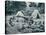 Indian Basket-Makers on the Banks of the St. Lawrence River, 1890s-null-Stretched Canvas