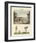 Indian Bateleurs-null-Framed Giclee Print