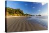 Indian Beach at Ecola State Park Near Cannon Beach, Oregon, USA-Chuck Haney-Stretched Canvas