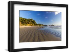 Indian Beach at Ecola State Park Near Cannon Beach, Oregon, USA-Chuck Haney-Framed Photographic Print