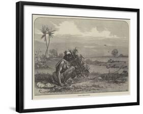 Indian Bird-Catcher-Felix Regamey-Framed Giclee Print