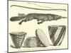 Indian Bow, Quiver, and Baskets Made from Grass, Cyperus Root, Etc-null-Mounted Giclee Print