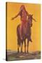 Indian Brave on Horse-null-Stretched Canvas