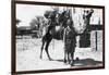 Indian Camel Trooper, Baghdad, 1918-null-Framed Giclee Print