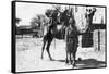 Indian Camel Trooper, Baghdad, 1918-null-Framed Stretched Canvas