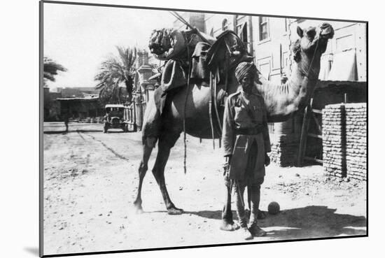 Indian Camel Trooper, Baghdad, 1918-null-Mounted Giclee Print