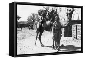 Indian Camel Trooper, Baghdad, 1918-null-Framed Stretched Canvas