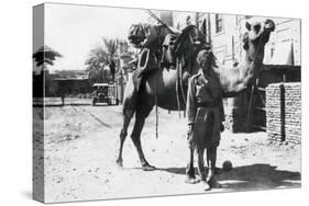 Indian Camel Trooper, Baghdad, 1918-null-Stretched Canvas