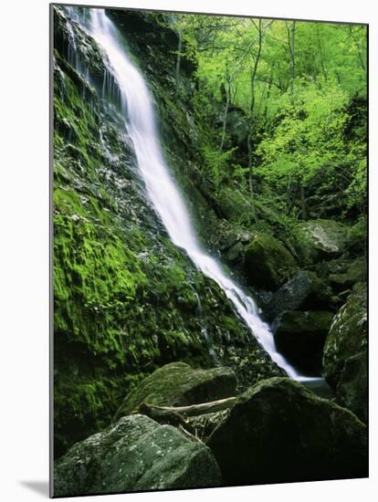 Indian Canyon, Buffalo National River, Arkansas, USA-Charles Gurche-Mounted Premium Photographic Print