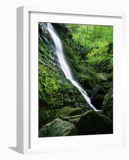 Indian Canyon, Buffalo National River, Arkansas, USA-Charles Gurche-Framed Photographic Print