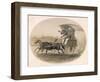 Indian Carriage-null-Framed Art Print