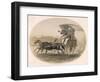 Indian Carriage-null-Framed Art Print