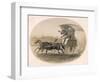 Indian Carriage-null-Framed Art Print