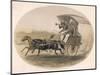 Indian Carriage-null-Mounted Art Print