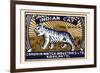 Indian Cat-null-Framed Premium Giclee Print