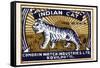 Indian Cat-null-Framed Stretched Canvas