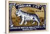 Indian Cat-null-Stretched Canvas