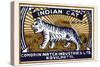 Indian Cat-null-Stretched Canvas