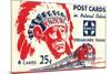 Indian Chief, Streamlined Train, Postcard Folder-null-Mounted Premium Giclee Print