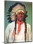 Indian Chief White Eagle-Charles Shreyvogel-Mounted Art Print