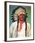 Indian Chief White Eagle-Charles Shreyvogel-Framed Art Print