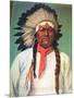 Indian Chief White Eagle-Charles Shreyvogel-Mounted Art Print