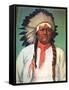 Indian Chief White Eagle-Charles Shreyvogel-Framed Stretched Canvas