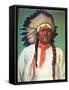 Indian Chief White Eagle-Charles Shreyvogel-Framed Stretched Canvas