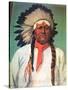 Indian Chief White Eagle-Charles Shreyvogel-Stretched Canvas