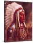 Indian Chief-Frank Humphris-Stretched Canvas