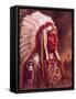 Indian Chief-Frank Humphris-Framed Stretched Canvas