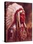 Indian Chief-Frank Humphris-Stretched Canvas