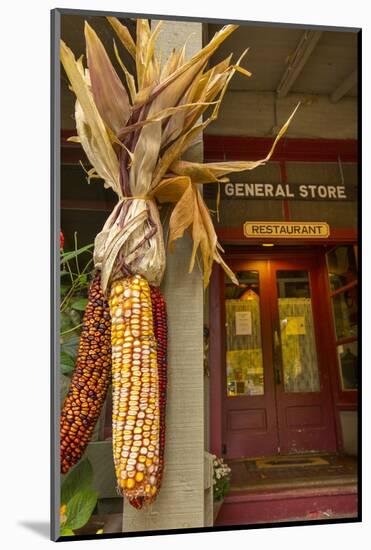 Indian Corn at Entrance to the Historic Story Inn, Story, Indiana-Chuck Haney-Mounted Photographic Print