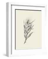 Indian Corn-Maria Mendez-Framed Art Print