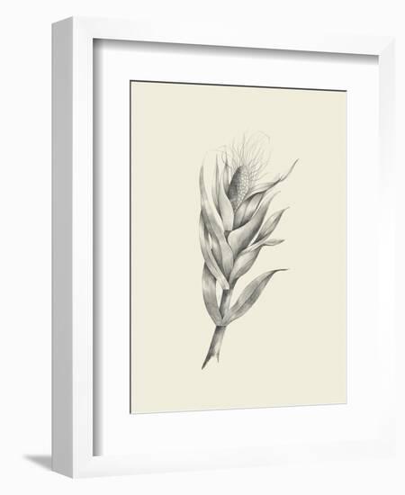 Indian Corn-Maria Mendez-Framed Art Print