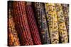 Indian corn-Jim Engelbrecht-Stretched Canvas