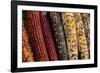 Indian corn-Jim Engelbrecht-Framed Photographic Print