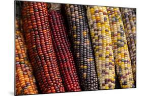 Indian corn-Jim Engelbrecht-Mounted Photographic Print