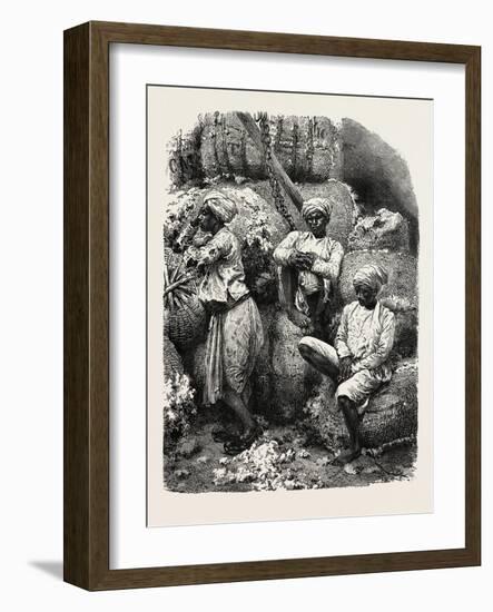 Indian Cotton Operatives-null-Framed Giclee Print