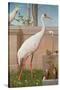 Indian Crane, Cockatoo, Bullfinch and Thrush-Herbert Hofer-Stretched Canvas
