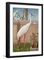 Indian Crane, Cockatoo, Bullfinch and Thrush-Herbert Hofer-Framed Giclee Print