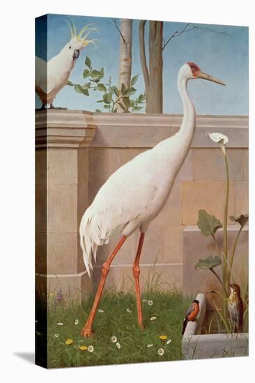 Indian Crane, Cockatoo, Bullfinch and Thrush-Herbert Hofer-Stretched Canvas