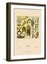 Indian Cultural Objects-Racinet-Framed Art Print
