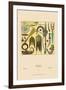 Indian Cultural Objects-Racinet-Framed Art Print