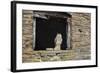 Indian Eagle Owl (Bubo Bengalensis), Herefordshire, England, United Kingdom-Janette Hill-Framed Photographic Print